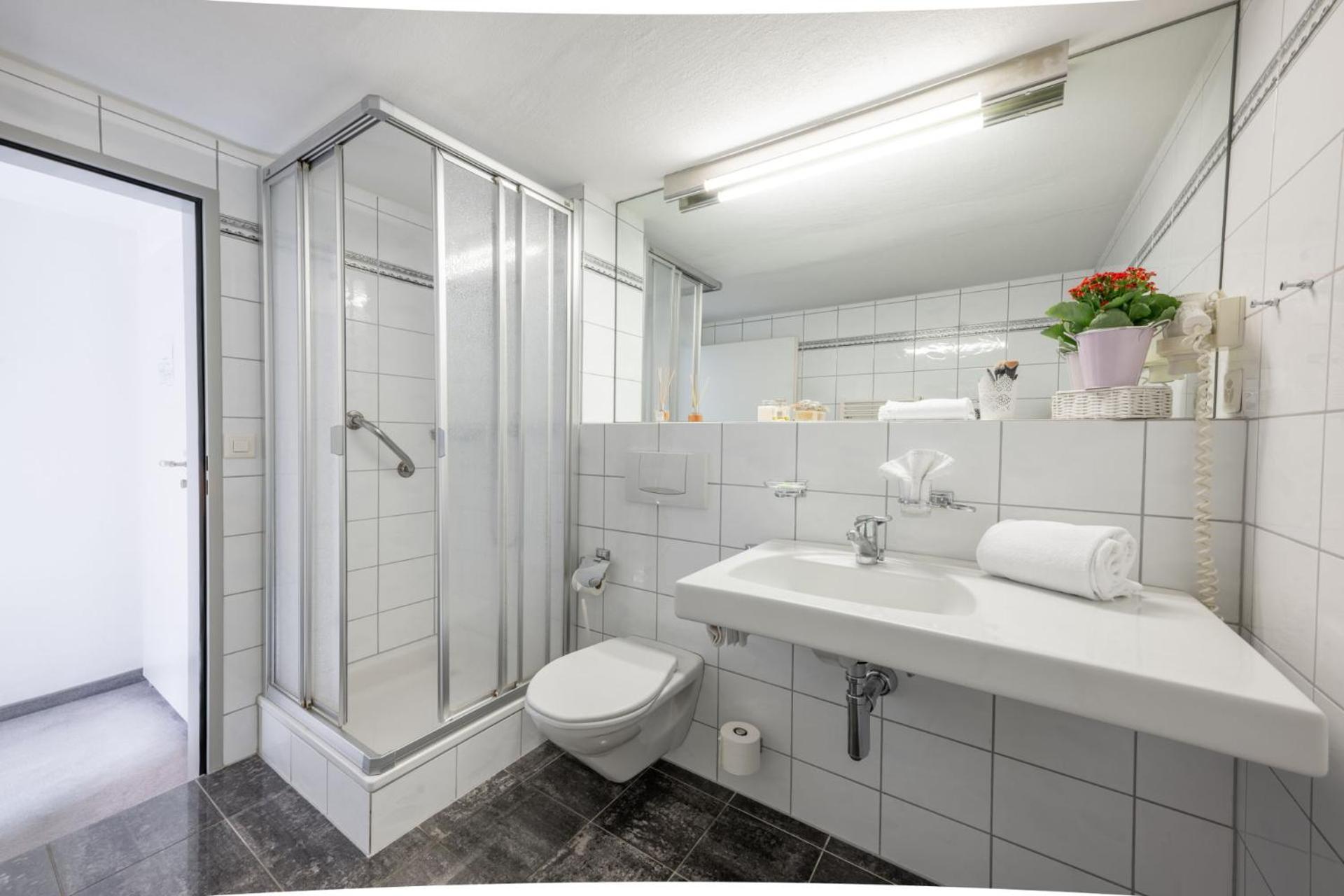 Hotel Alpina Schiers Eksteriør billede